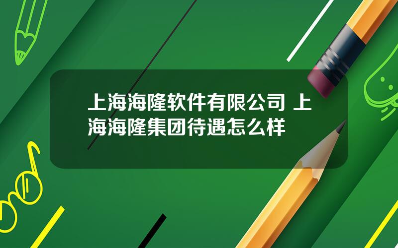 上海海隆软件有限公司 上海海隆集团待遇怎么样